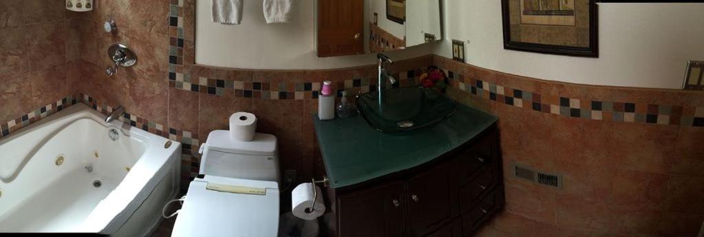 Luxury 5 Bedroom Home Near Sfo 圣布鲁诺 外观 照片